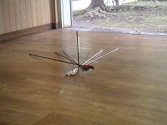 写真データ読み込みエラー