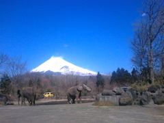 写真データ読み込みエラー