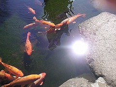 写真データ読み込みエラー