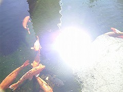 写真データ読み込みエラー