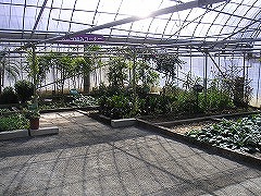写真データ読み込みエラー