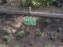 写真データ読み込みエラー