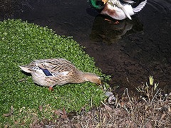 写真データ読み込みエラー