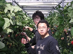 写真データ読み込みエラー