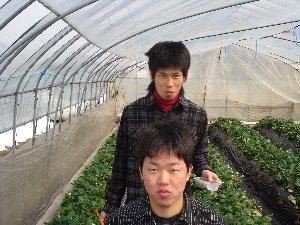 写真データ読み込みエラー