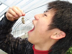 写真データ読み込みエラー