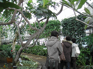 写真データ読み込みエラー