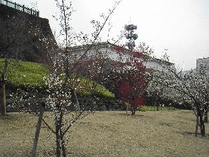 写真データ読み込みエラー