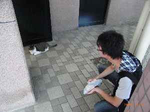 写真データ読み込みエラー