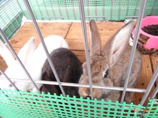 写真データ読み込みエラー