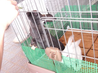 写真データ読み込みエラー