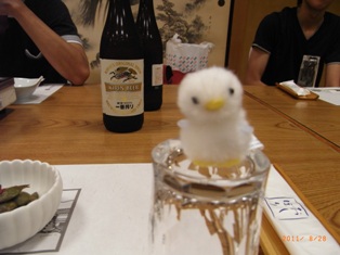 写真データ読み込みエラー