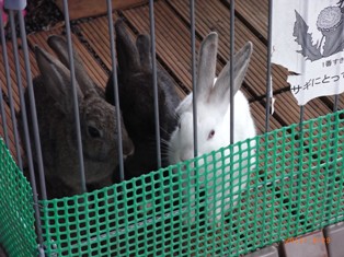 写真データ読み込みエラー