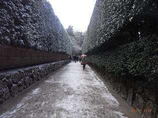 写真データ読み込みエラー