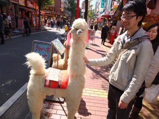 写真データ読み込みエラー
