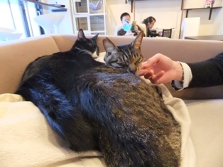 写真データ読み込みエラー
