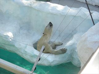 写真データ読み込みエラー