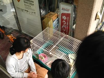写真データ読み込みエラー