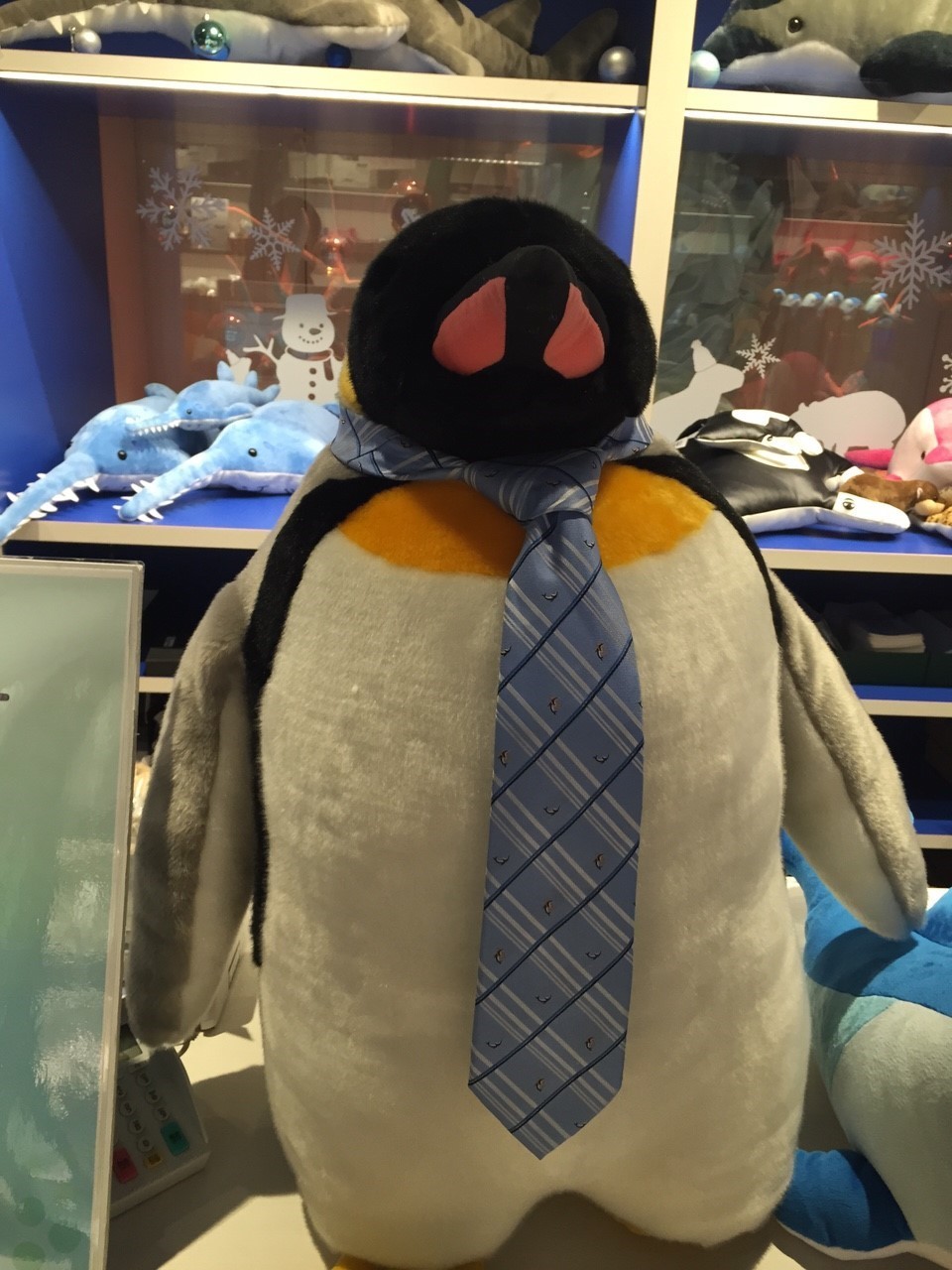 写真データ読み込みエラー